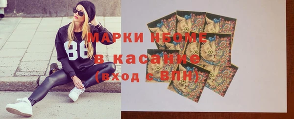шишки Бородино