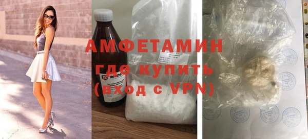 шишки Бородино