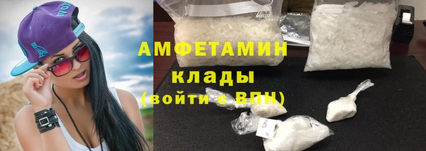 шишки Бородино