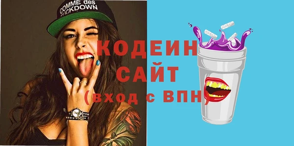 шишки Бородино