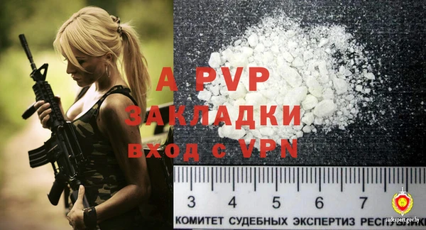шишки Бородино