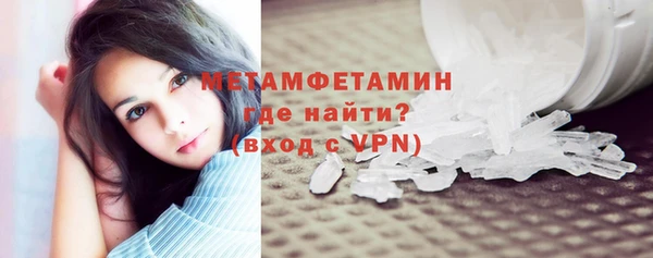 шишки Бородино