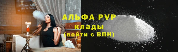 шишки Бородино