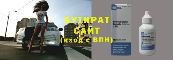 шишки Бородино