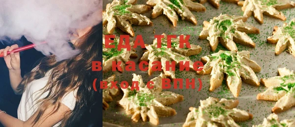 шишки Бородино