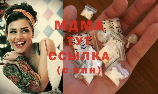 шишки Бородино
