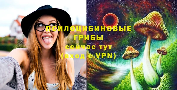 МДПВ Бугульма